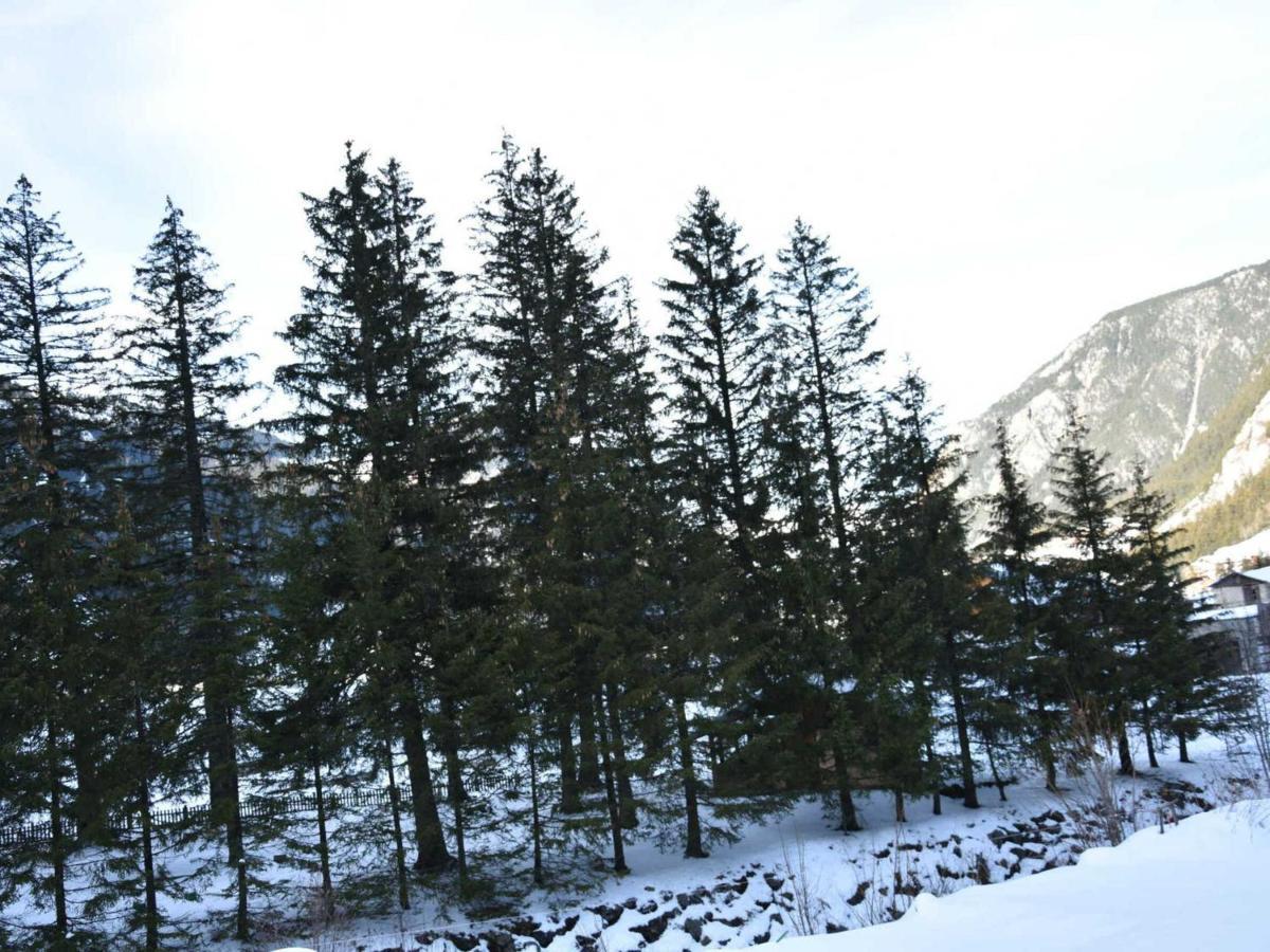 Chalet L'Ourse Avec Spa Pralognan-La-Vanoise Chalet